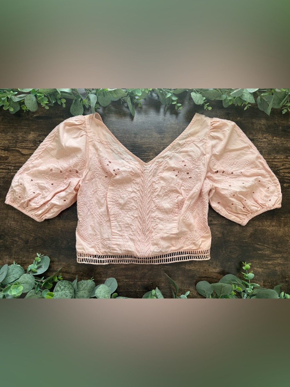 Express Blush Eyelet V-Neck Crop Top
